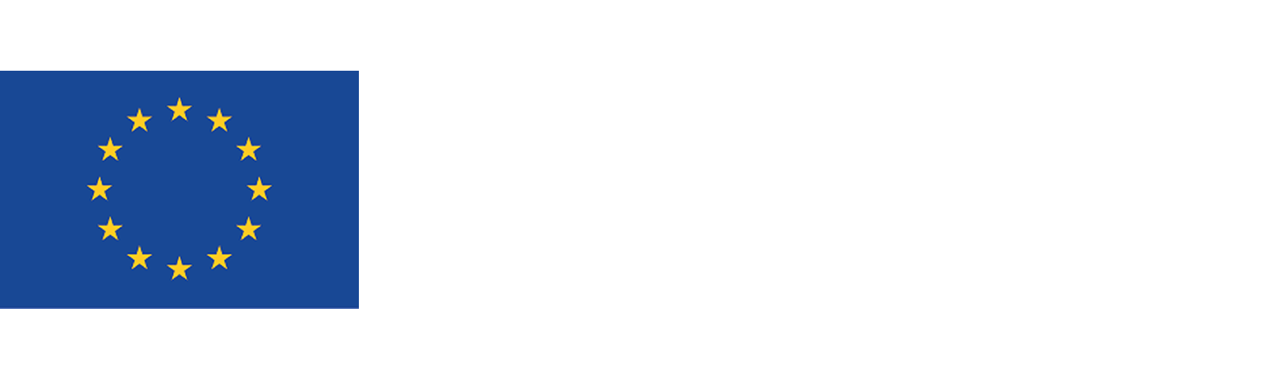 Finanziato dall'Unione Europea